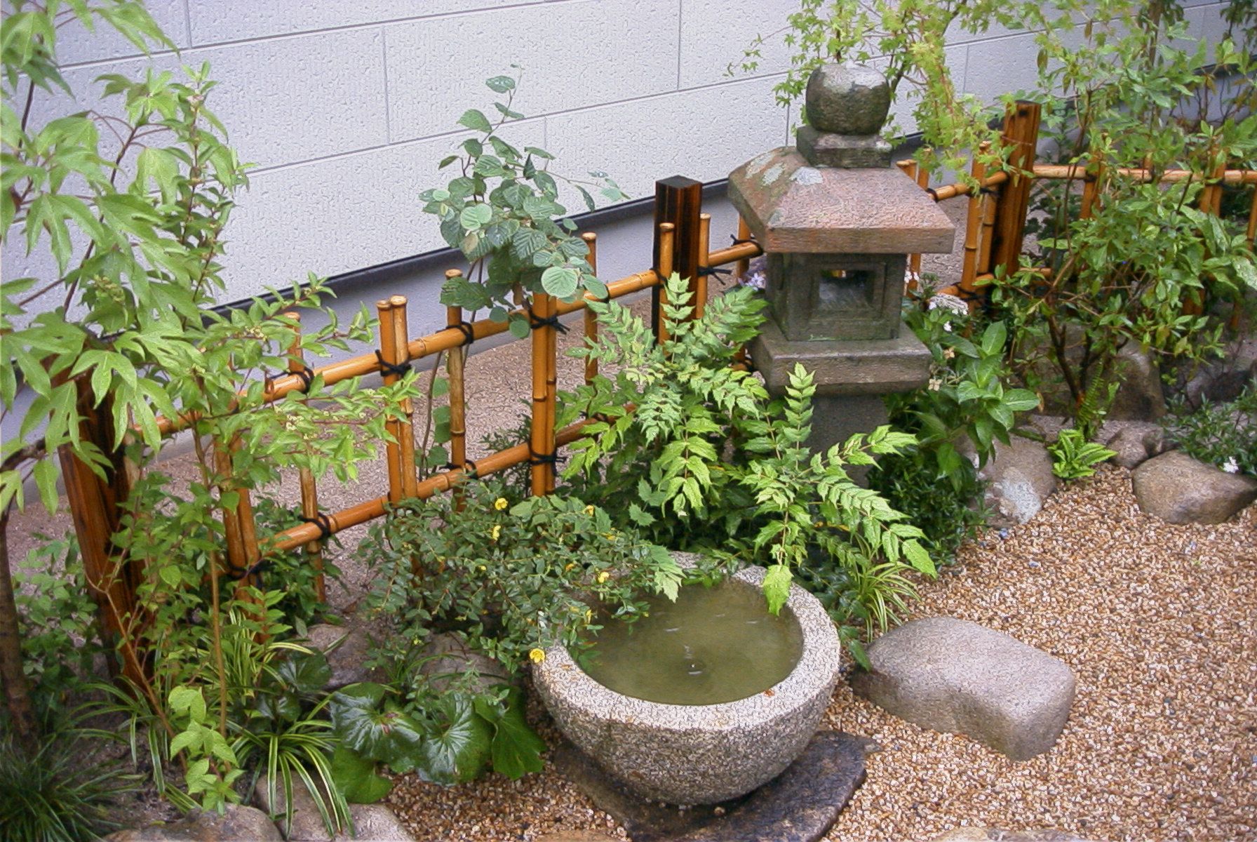 Japanese Garden Bamboo Fence