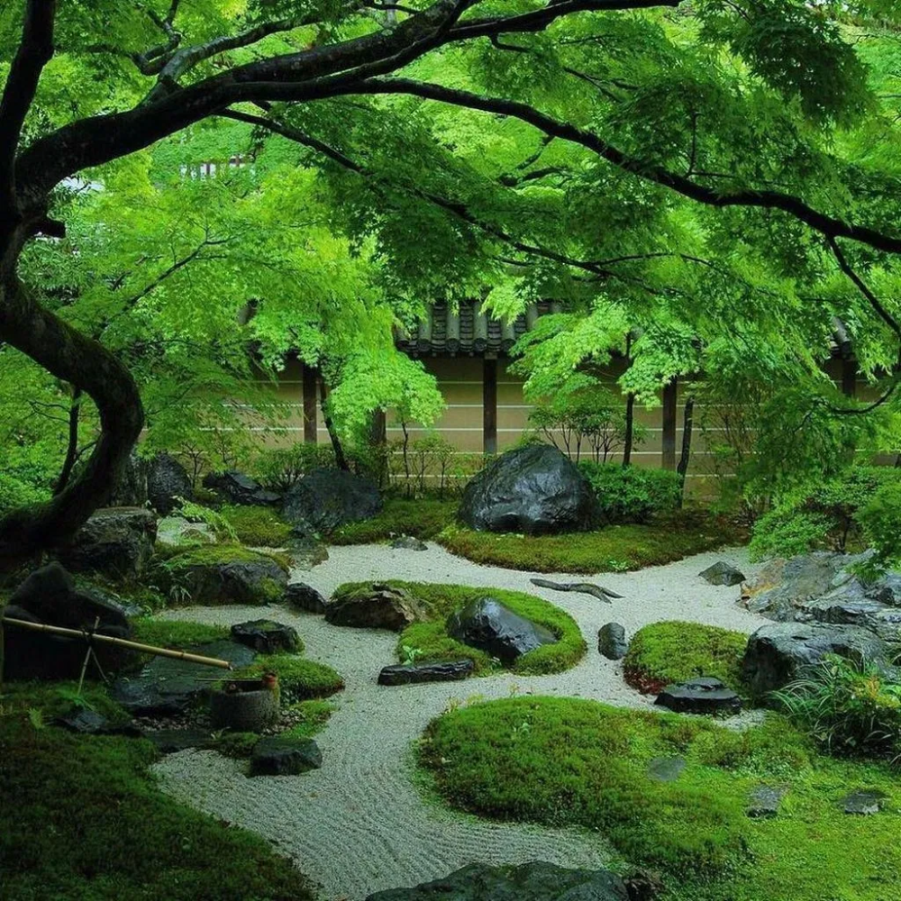 Awesome Zen Gardens Design