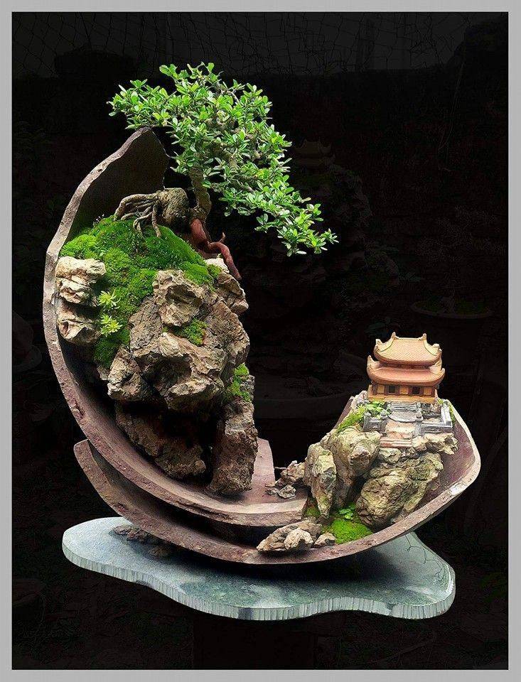 Mini Garden Bonsai Bonsai Idea