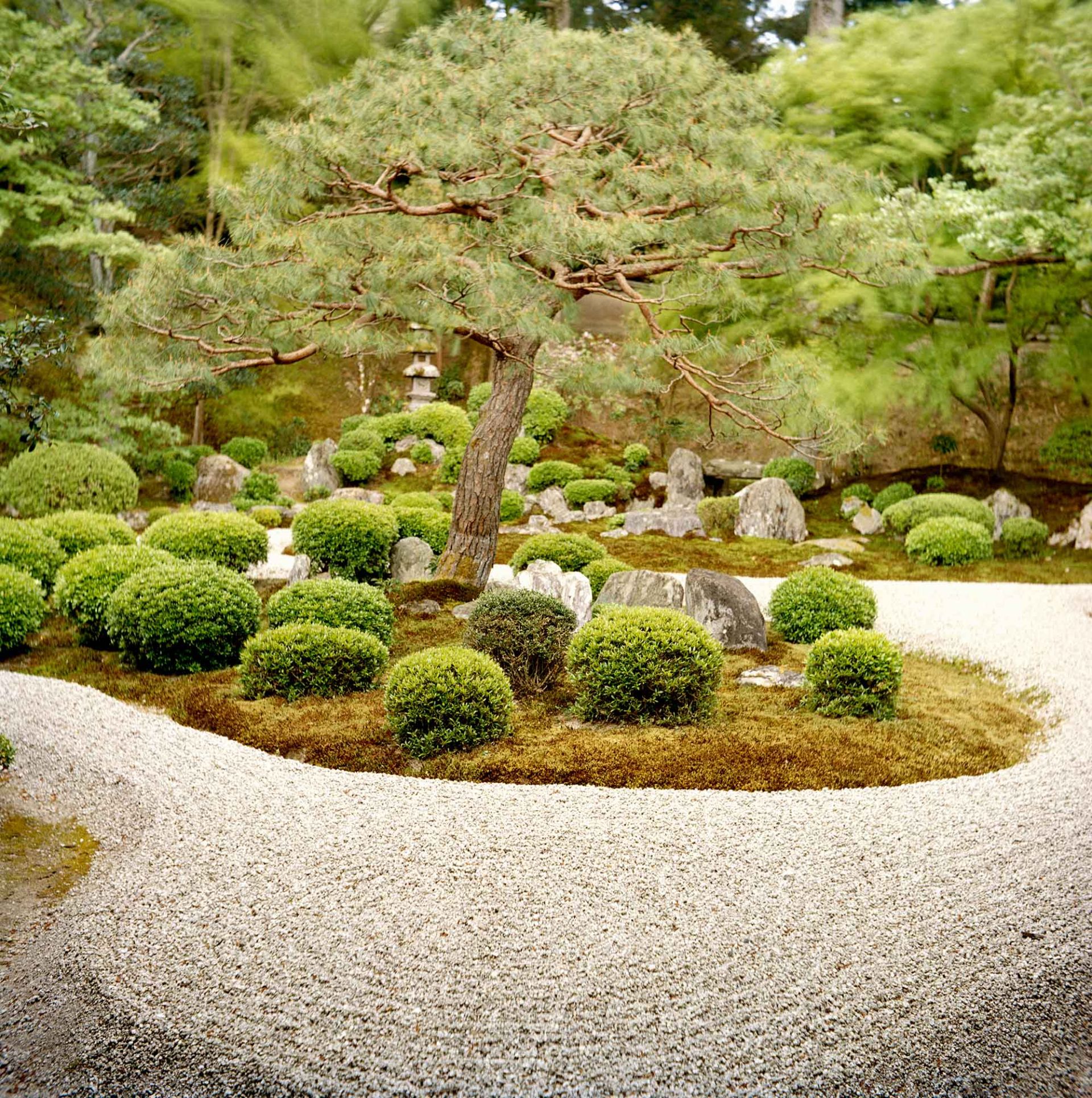 A Japanese Zen Garden