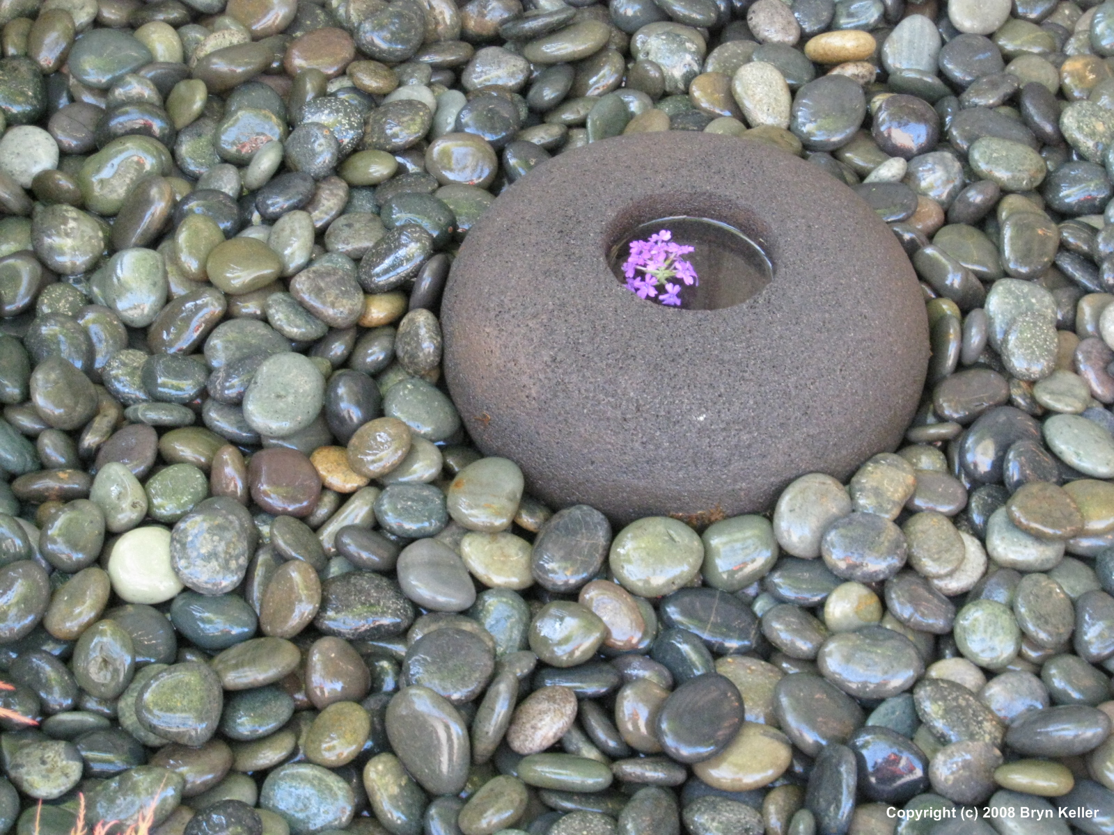 Amazing Rock Garden Design Ideas