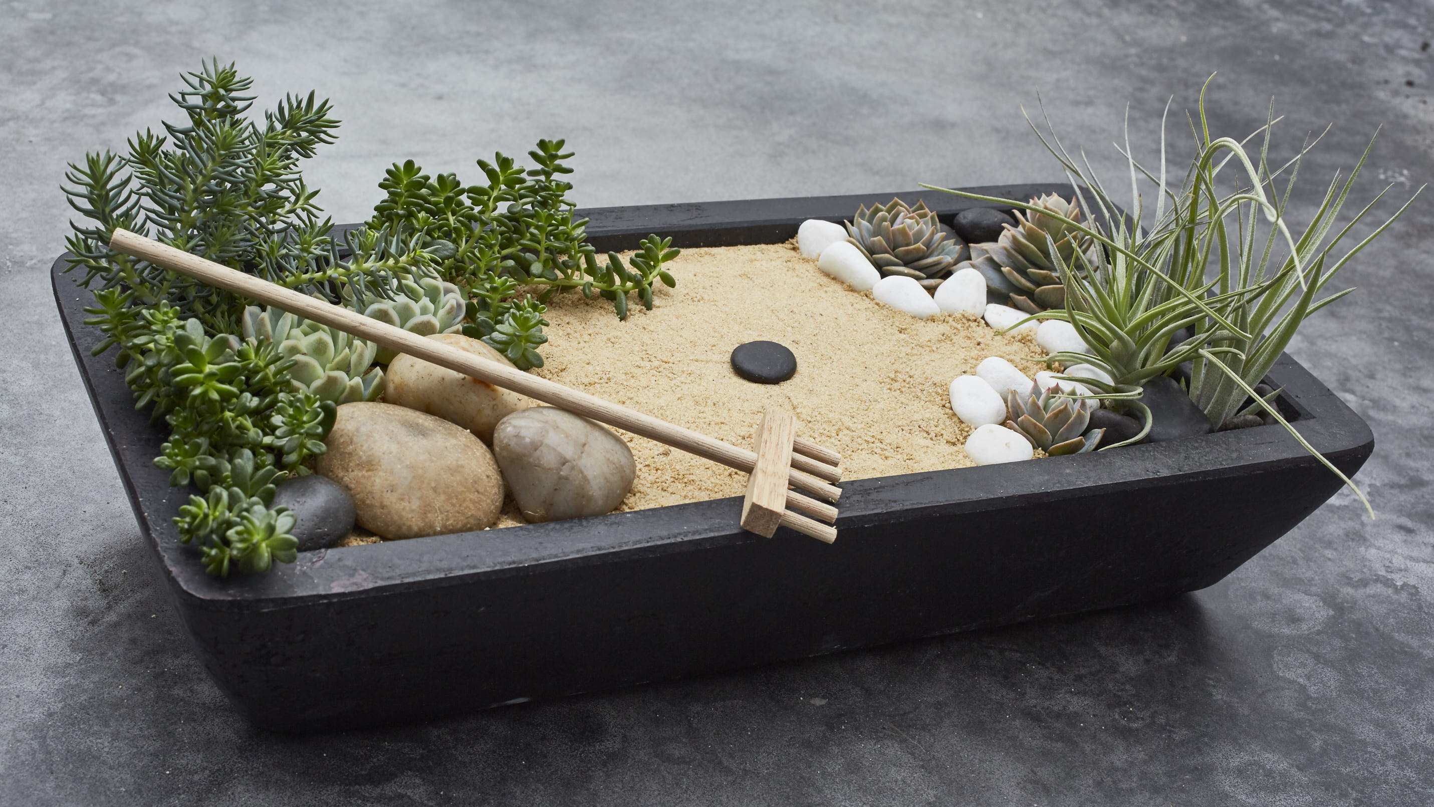 Mini Zen Garden