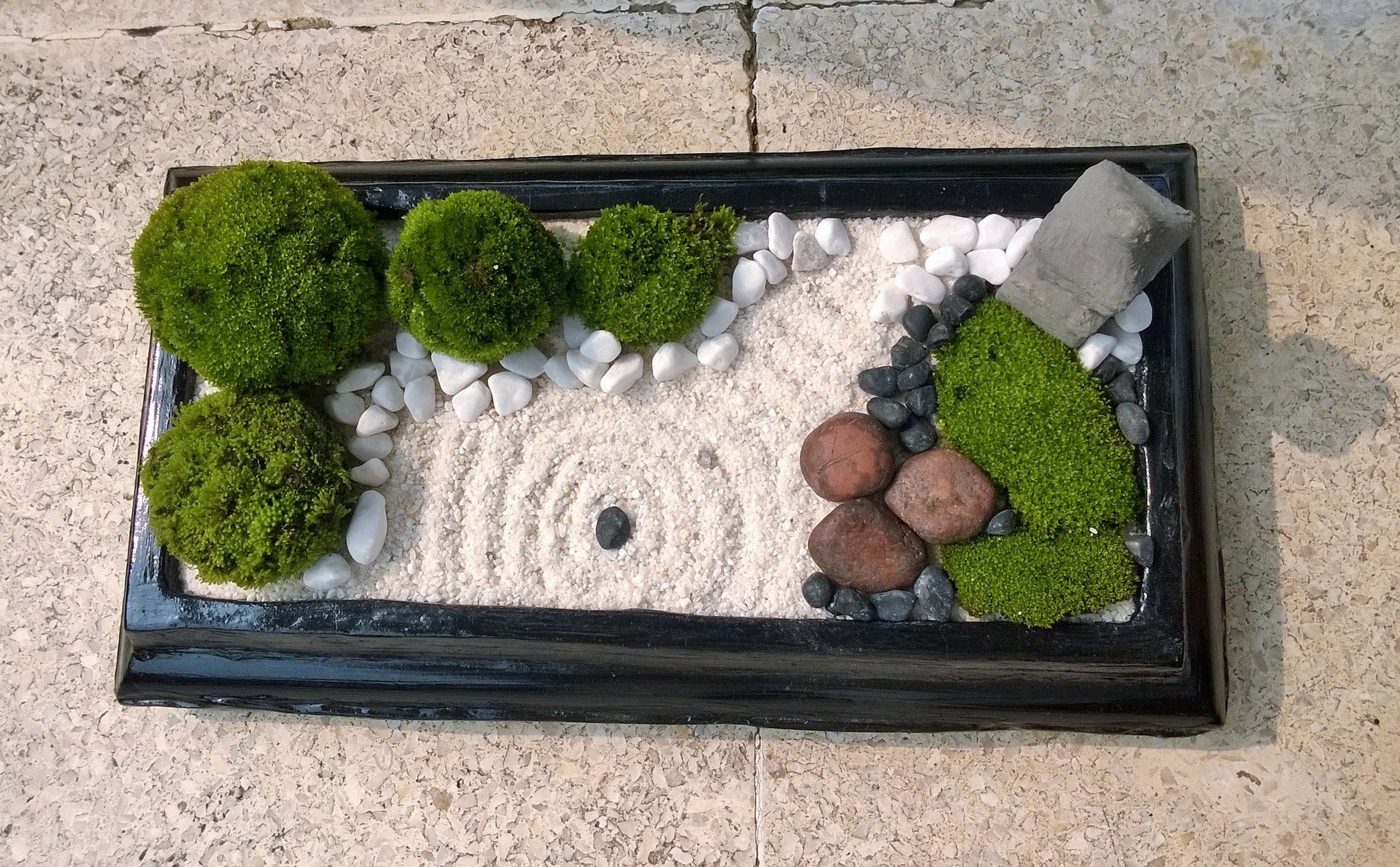 Mini Zen Garden