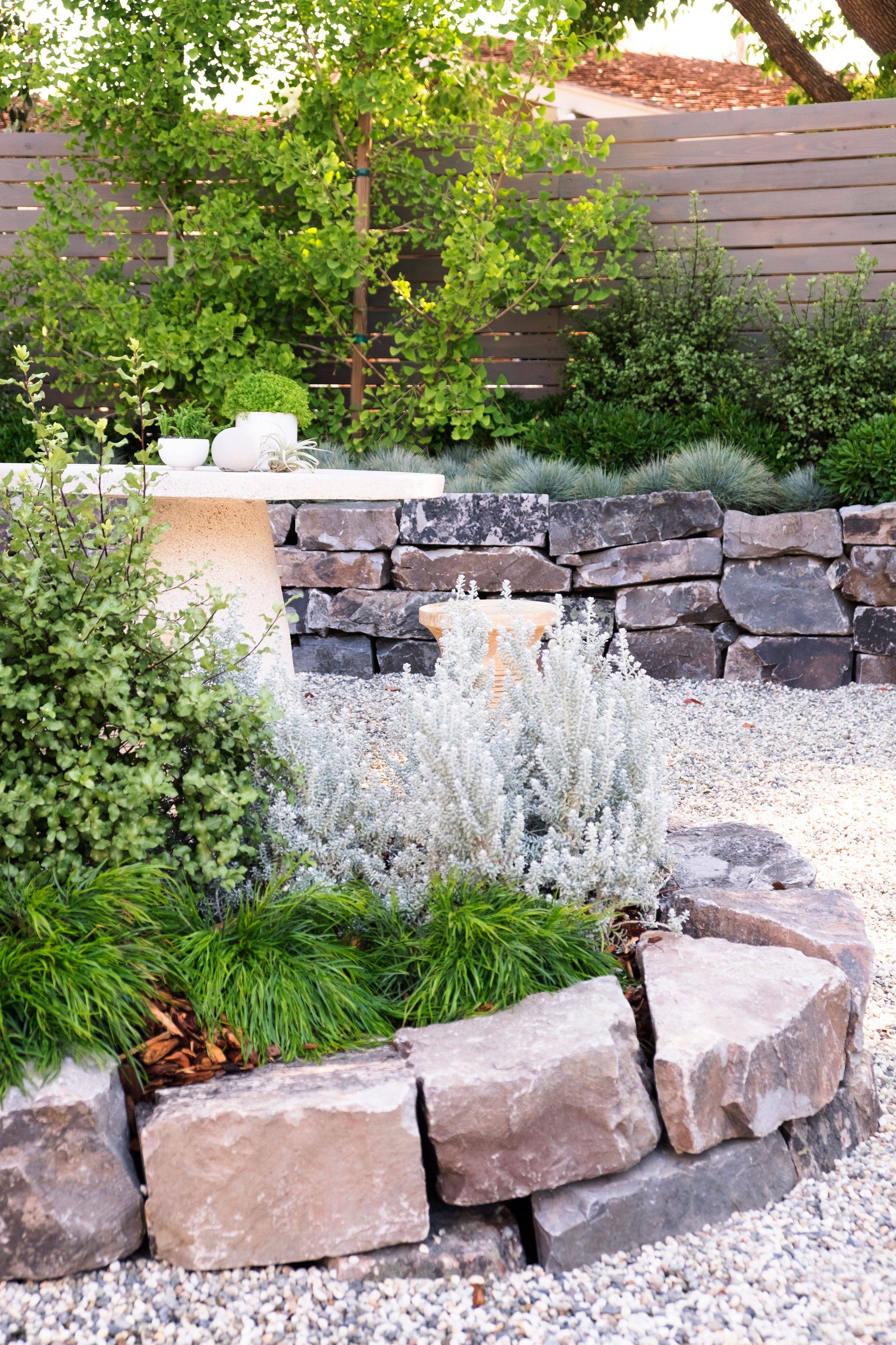 Garden Plants