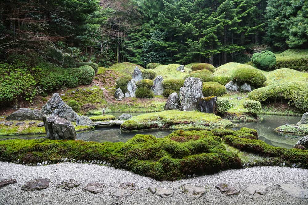 Ji Moss Garden