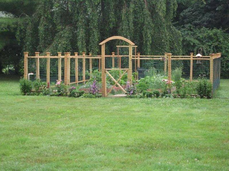 Amazing Vegetable Garden Fence Ideas