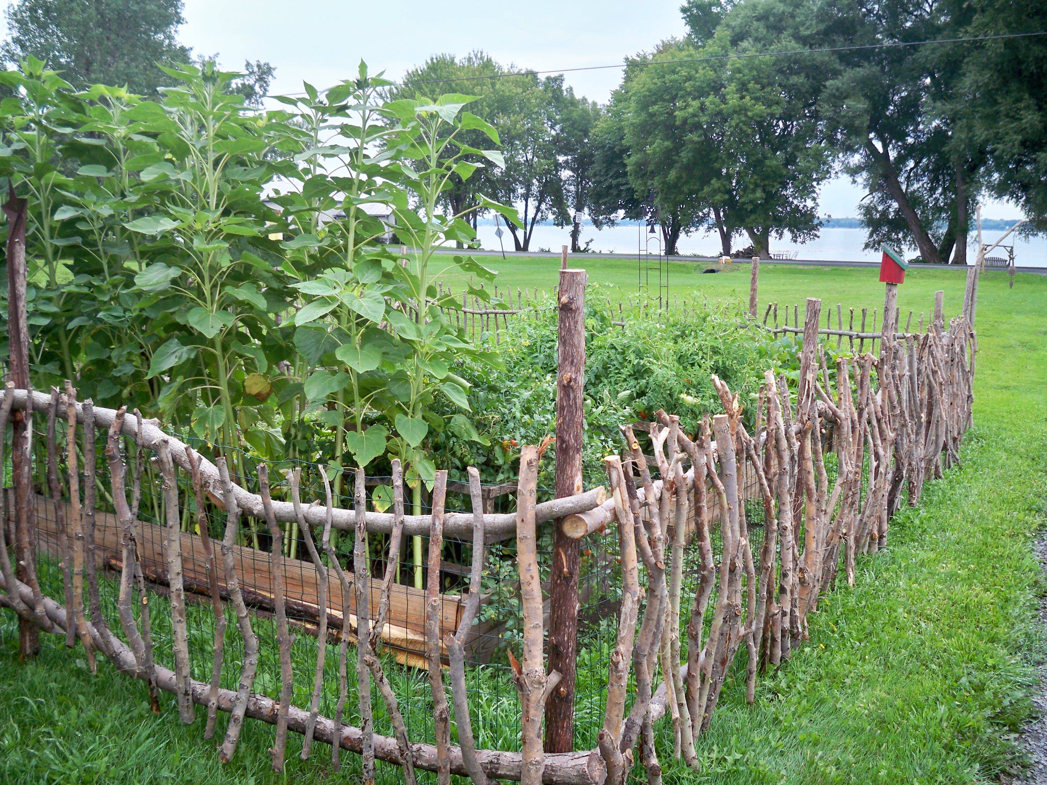 Best Inexpensive Decorative Vegetable Garden Fencing Ideas