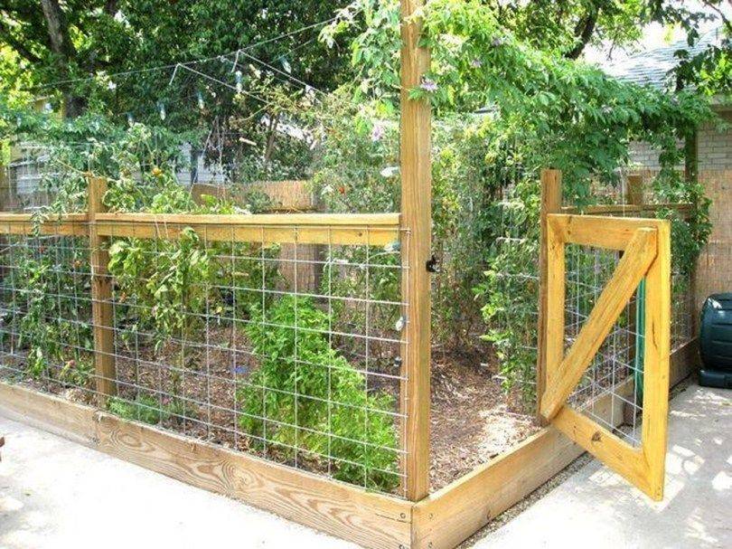 Deer Proof Garden Fence Some Nice Photos