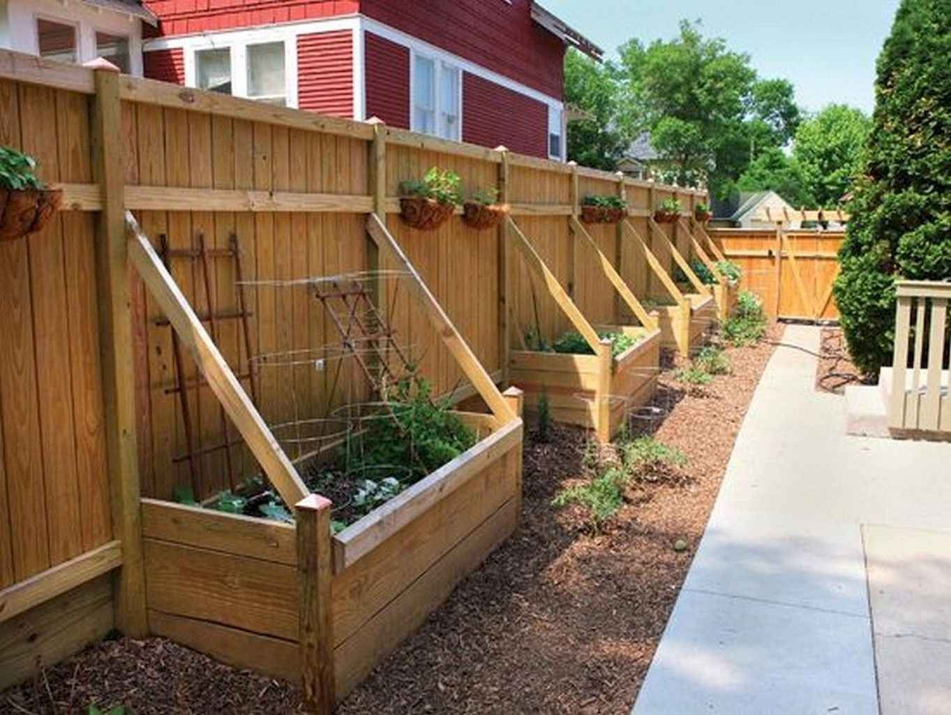 A Garden Fenced Vegetable Garden