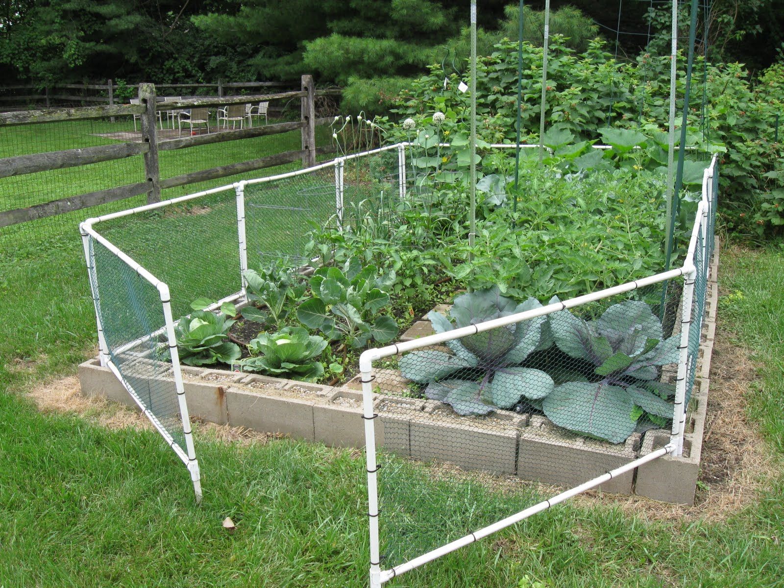 Inexpensive Decorative Vegetable Garden Fencing Ideas Decorecent