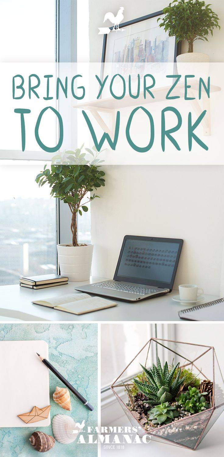 Miniature Zen Garden