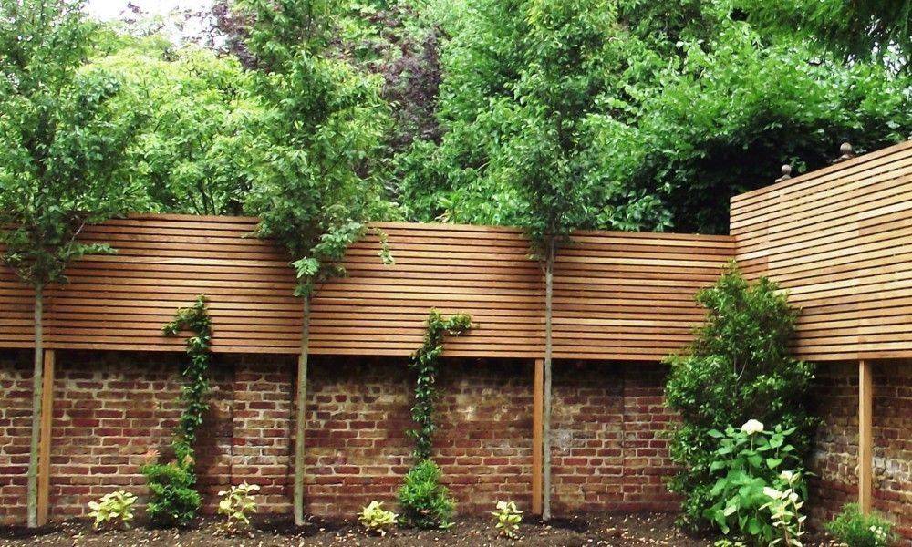 Summer Ideas