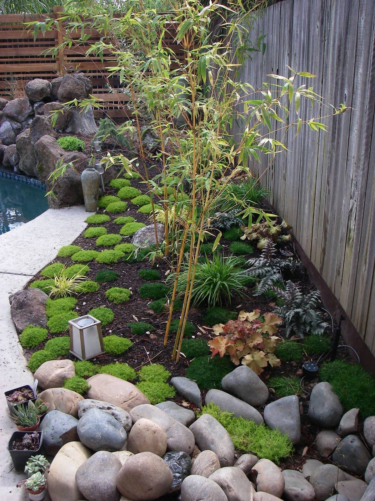 Bamboo Rock Garden Baby