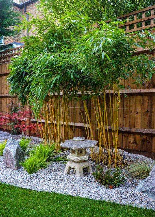 Zen Garden Patio Pond Bamboo Asianthemed Alcove