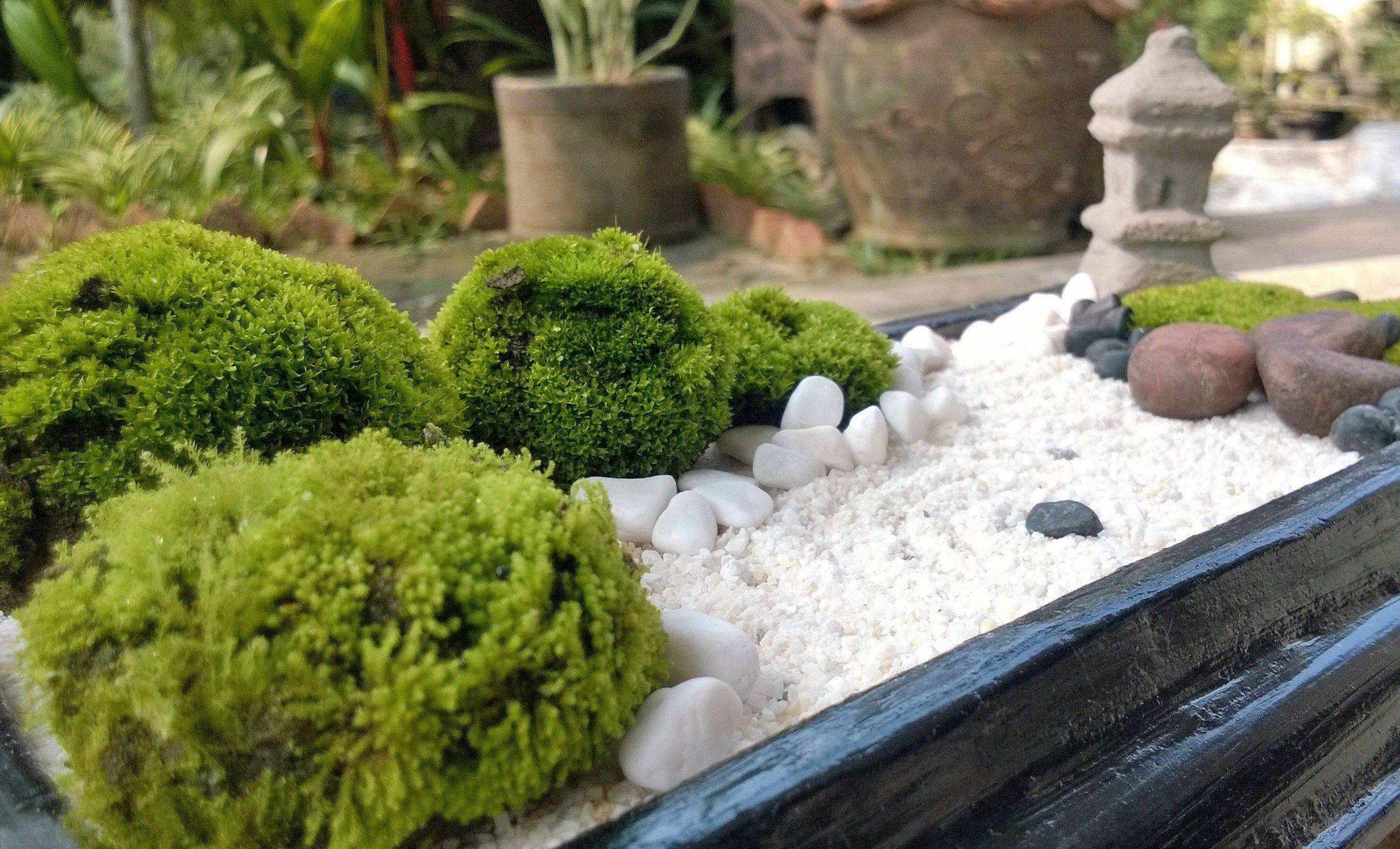 Diy Backyard Zen Garden Ideas Gowritter Zen Garden Design Zen