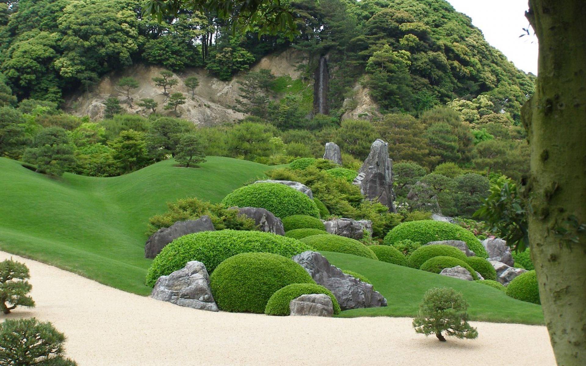 Small Japanese Garden