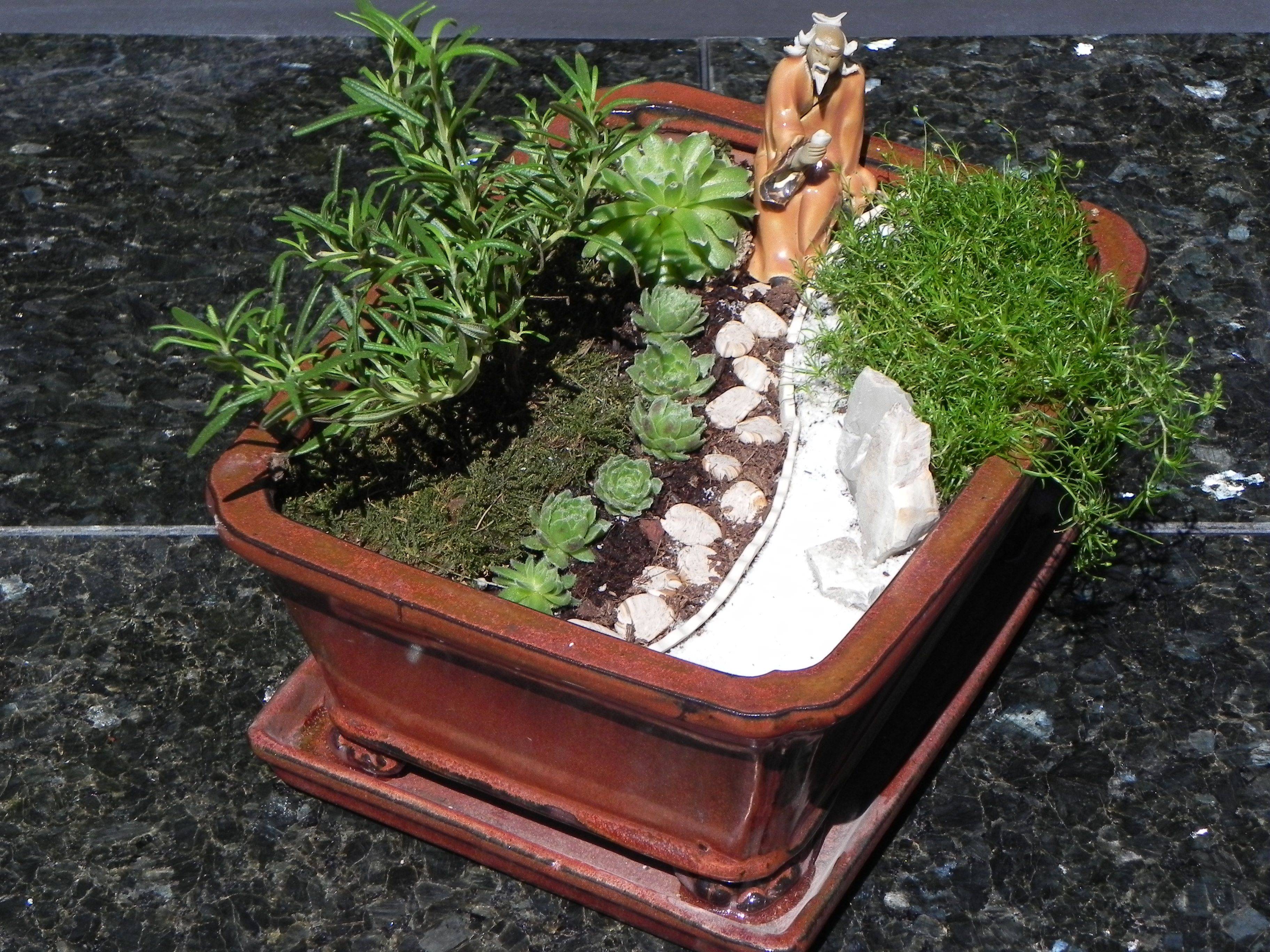 Tree Stump Garden Outdoor