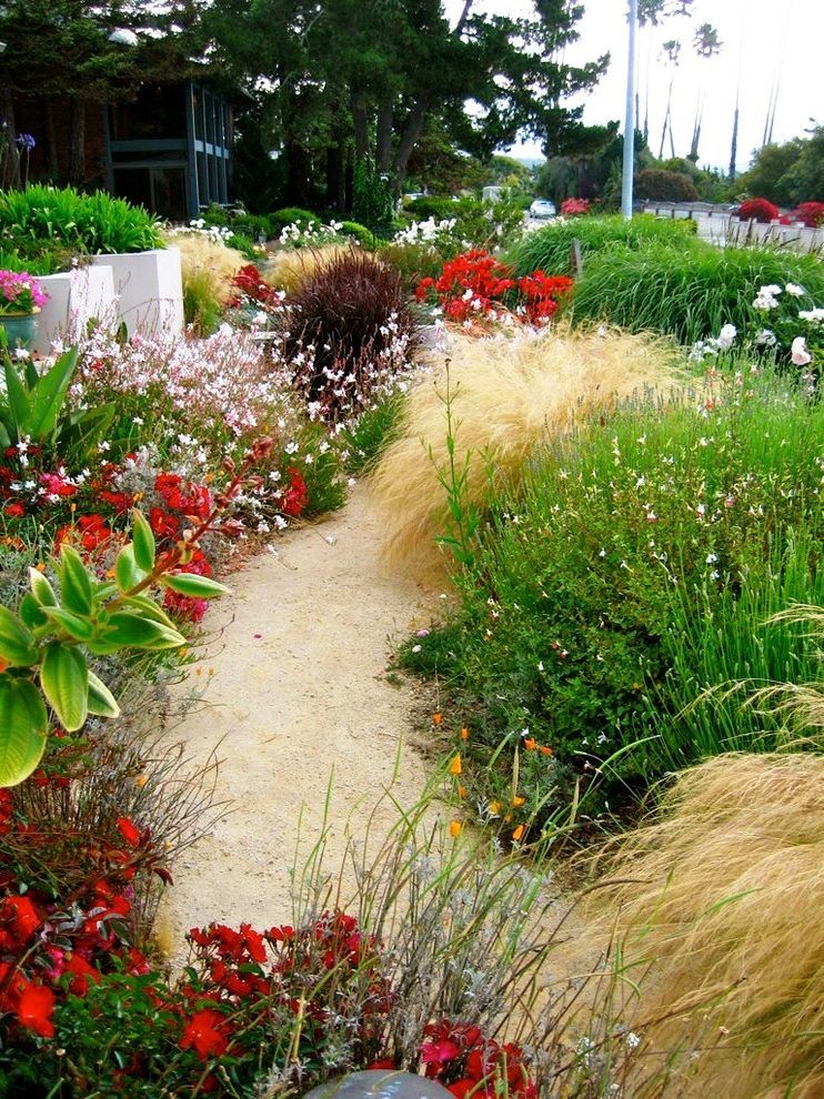 A Sustainable Garden Sunset Magazine