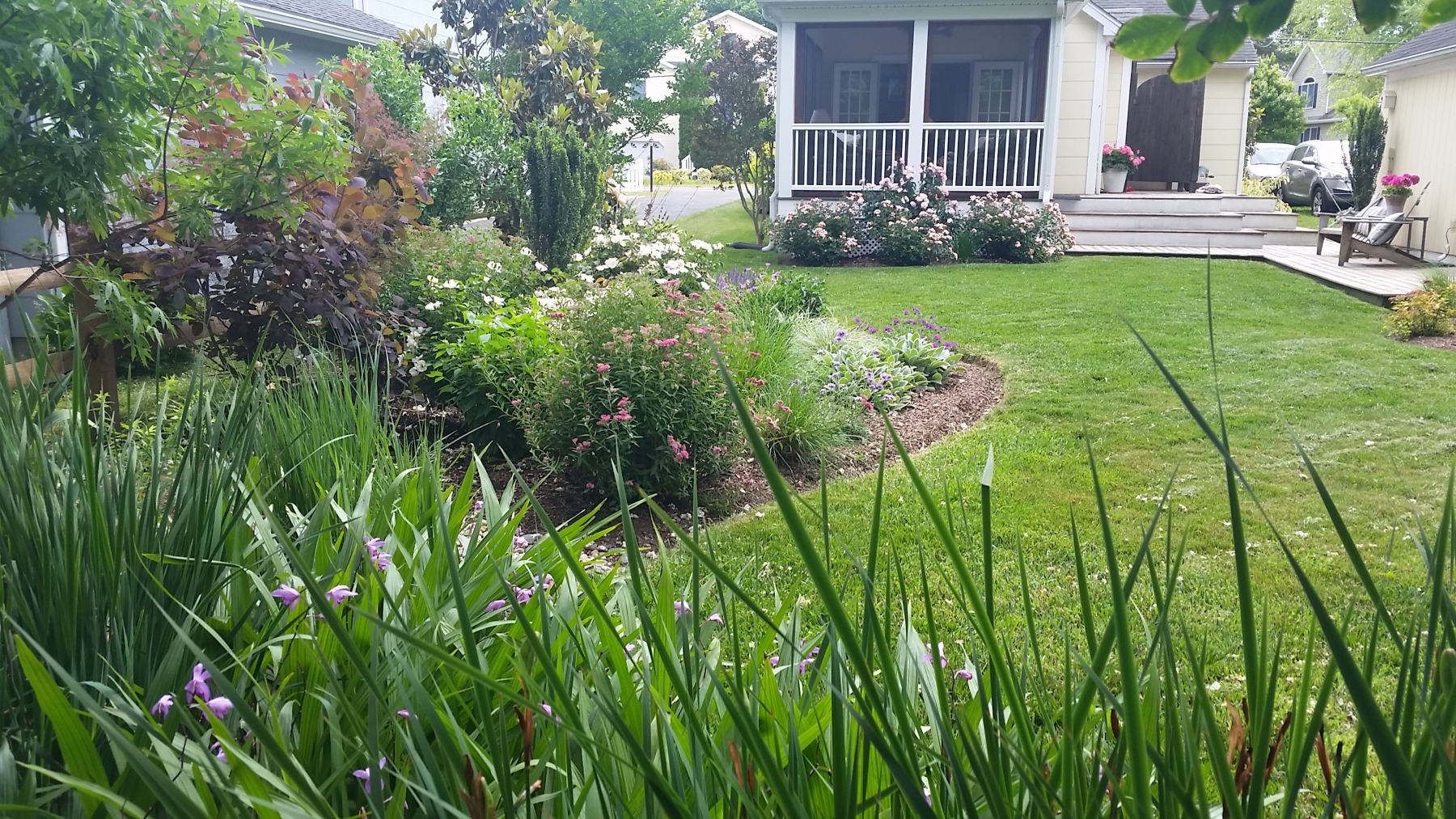 Australian Coastal Gardens