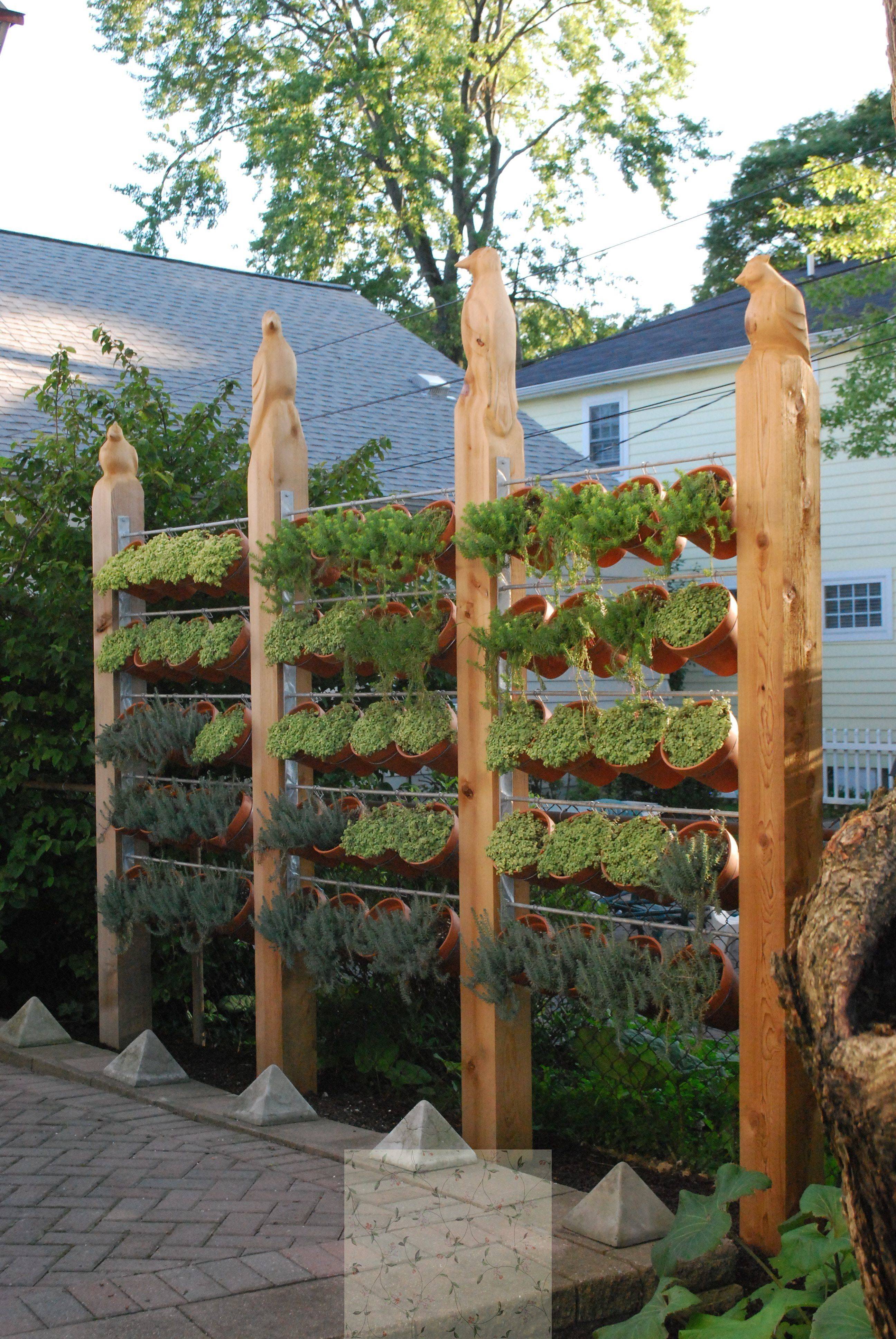 Large Backyard Landscaping