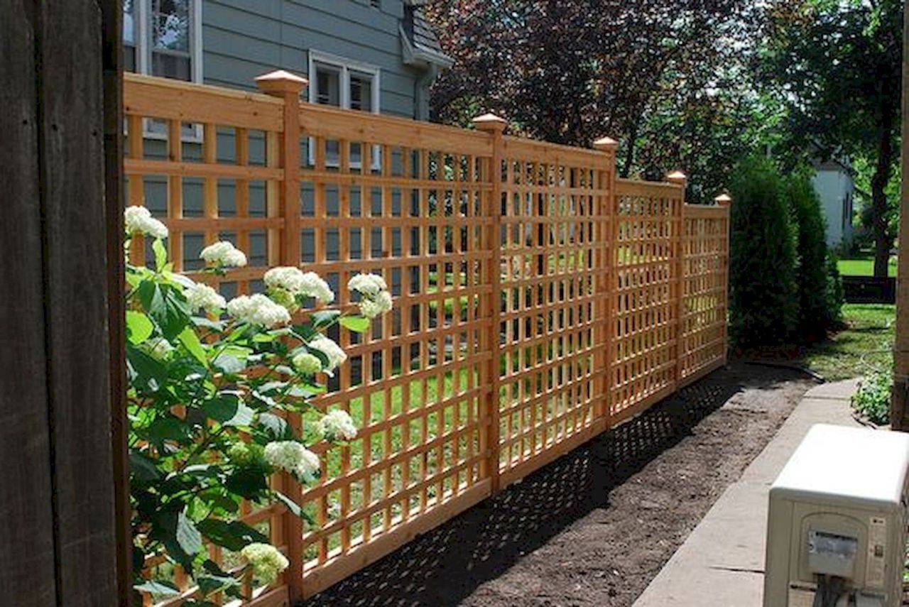 Beautiful Trellis Fence And Screen Ideas