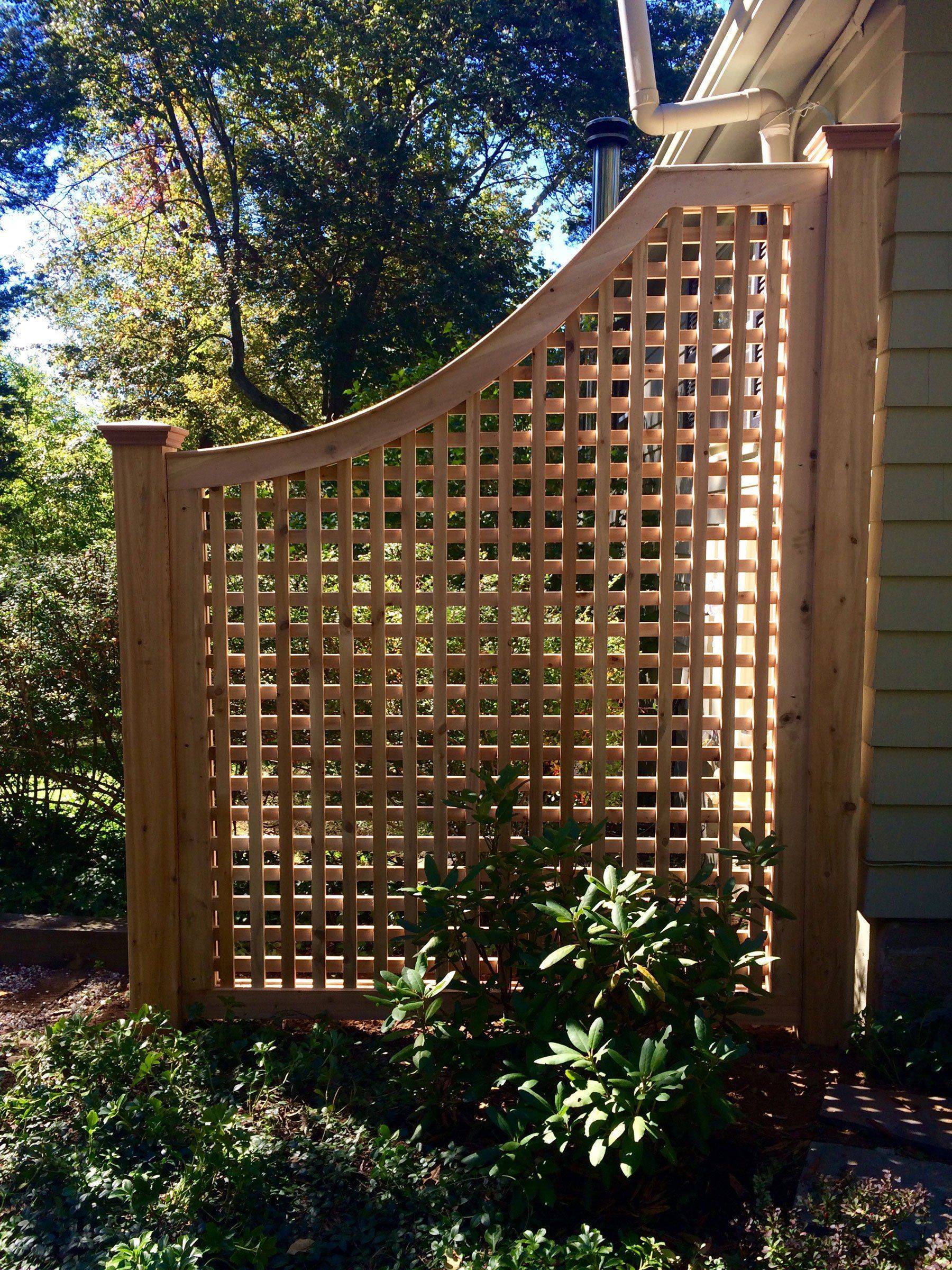 Easy Cheap Backyard Privacy Fence Design Ideas