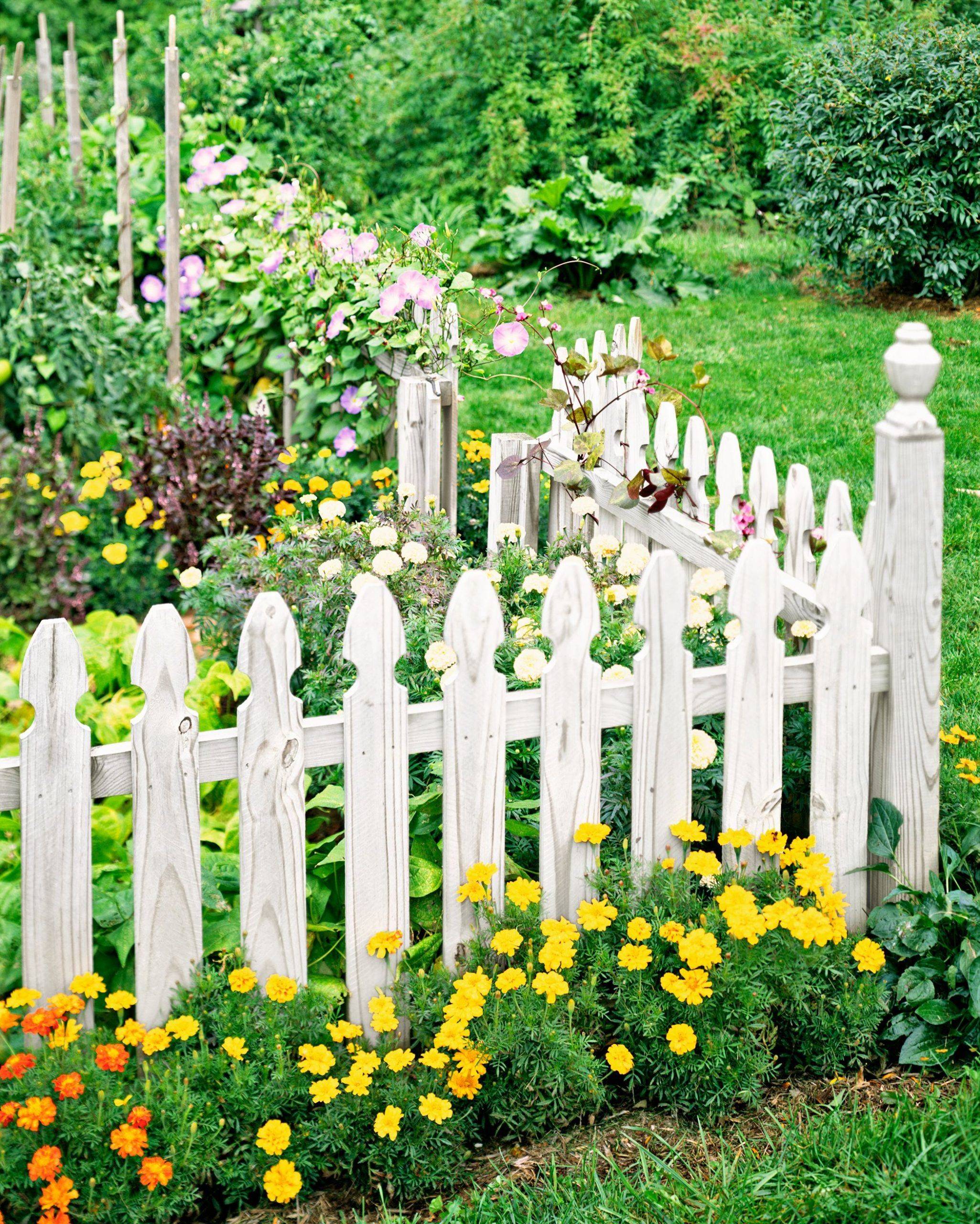 White Picket Fence Landscaping Ideas