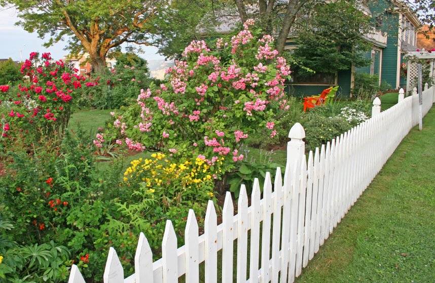 White Picket Fence Ideas