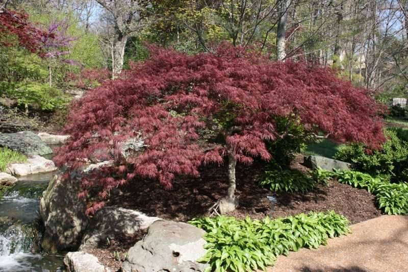 Wonderful Front Yard Landscaping Design Ideas