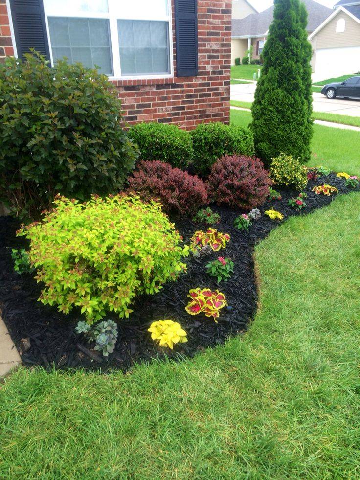 Beautiful Black Garden Ideas