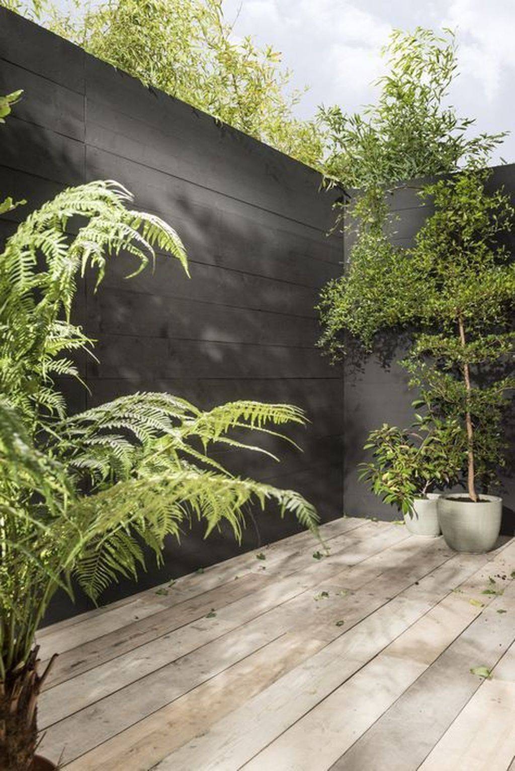 Beautiful Black Garden Ideas