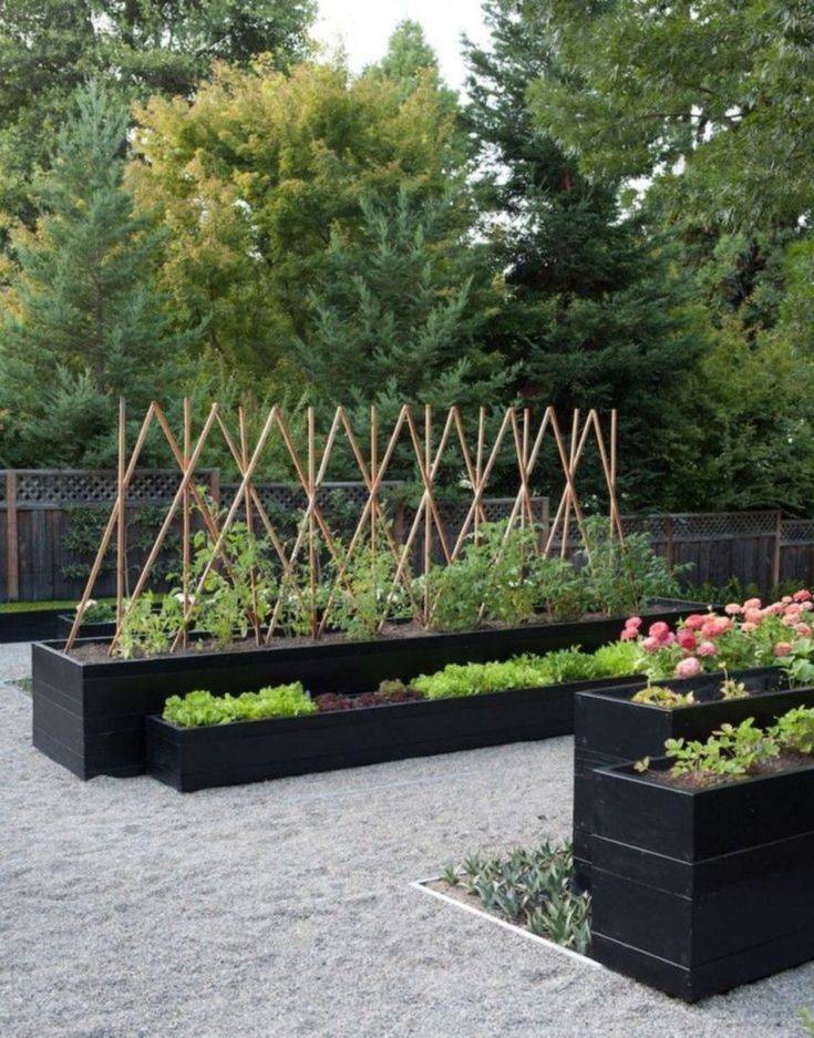Black Garden Design Ideas