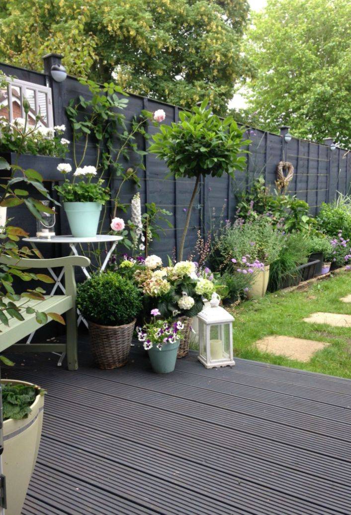 Contemporary Garden