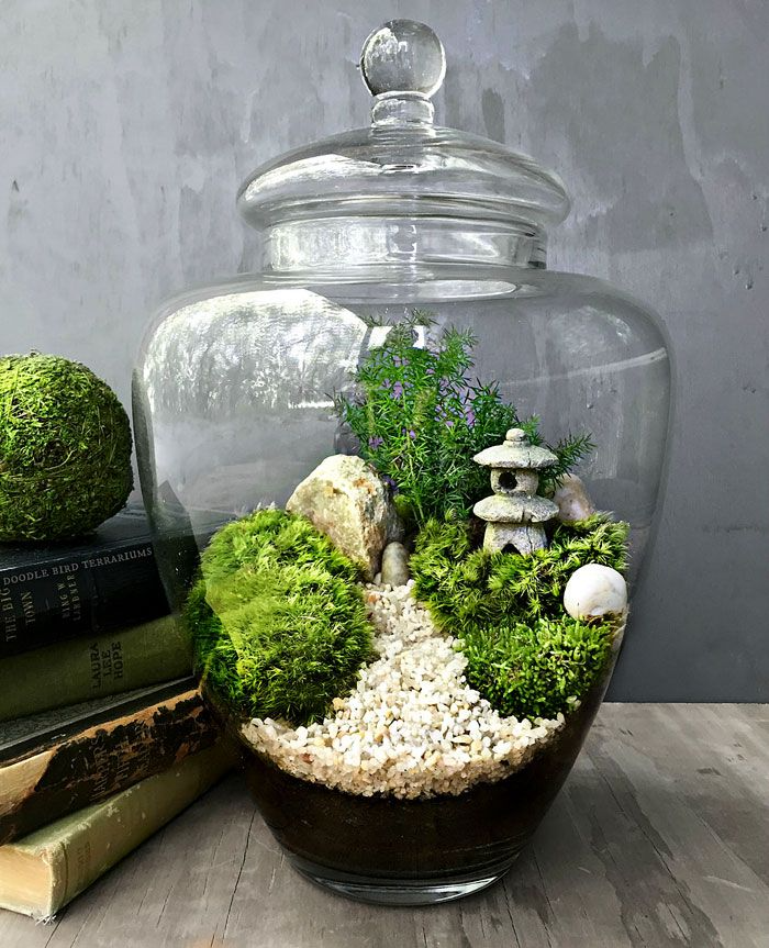 Mini Zen Garden Stock Photo