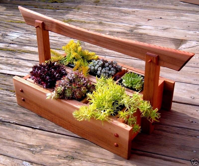 Zen Garden Litter Box Zen Garden