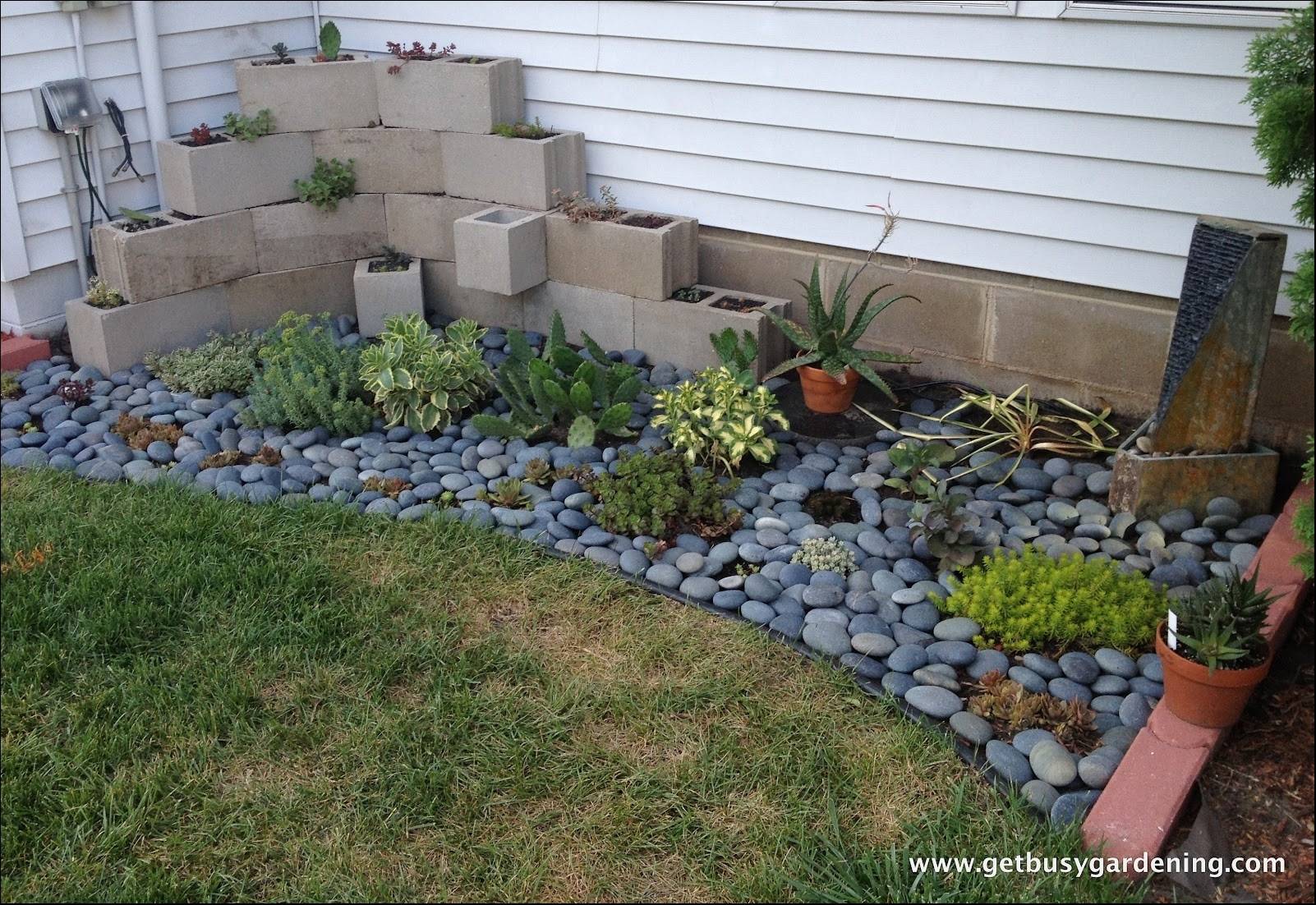 Zen Garden Design