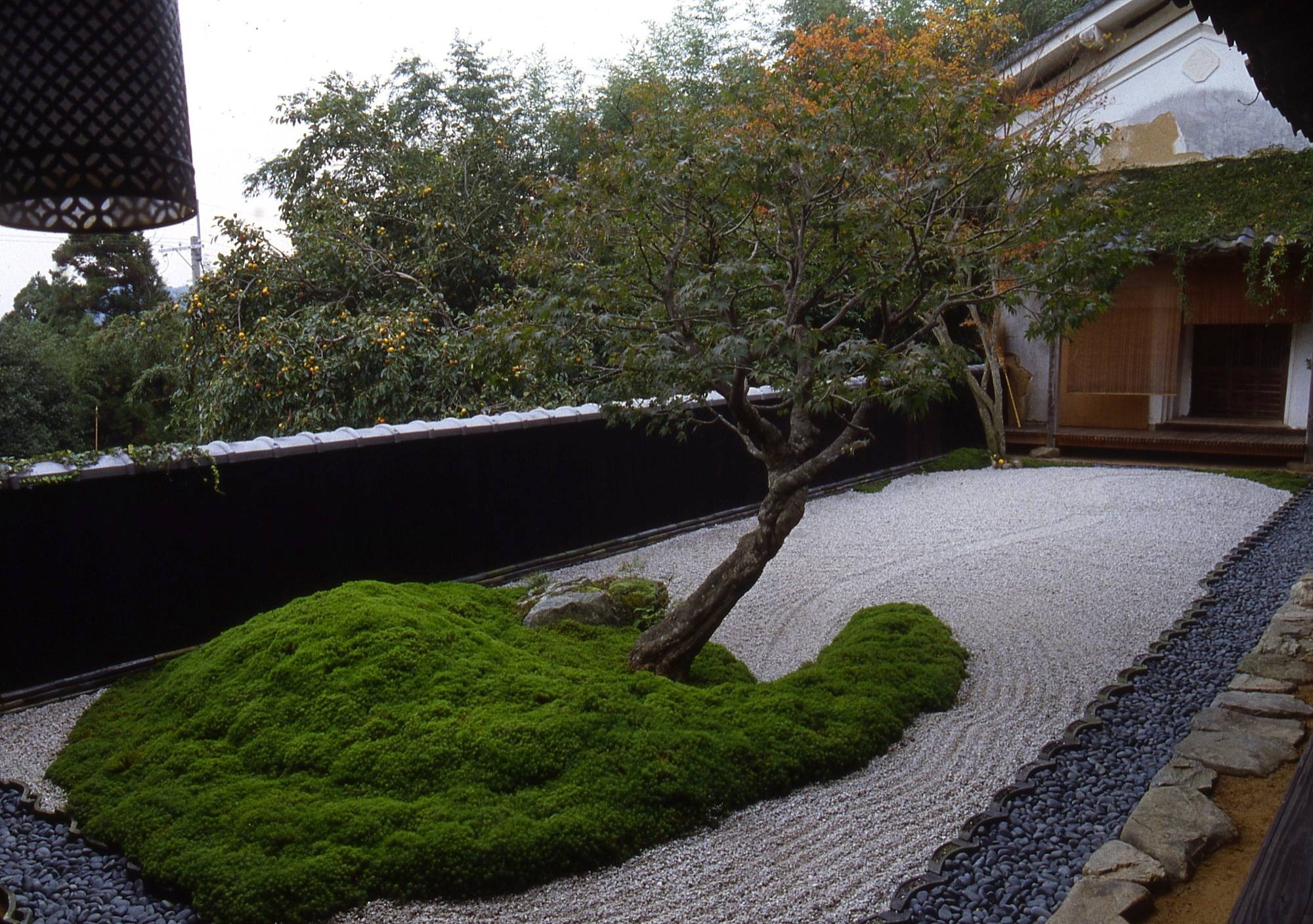 Dry Landscape Garden