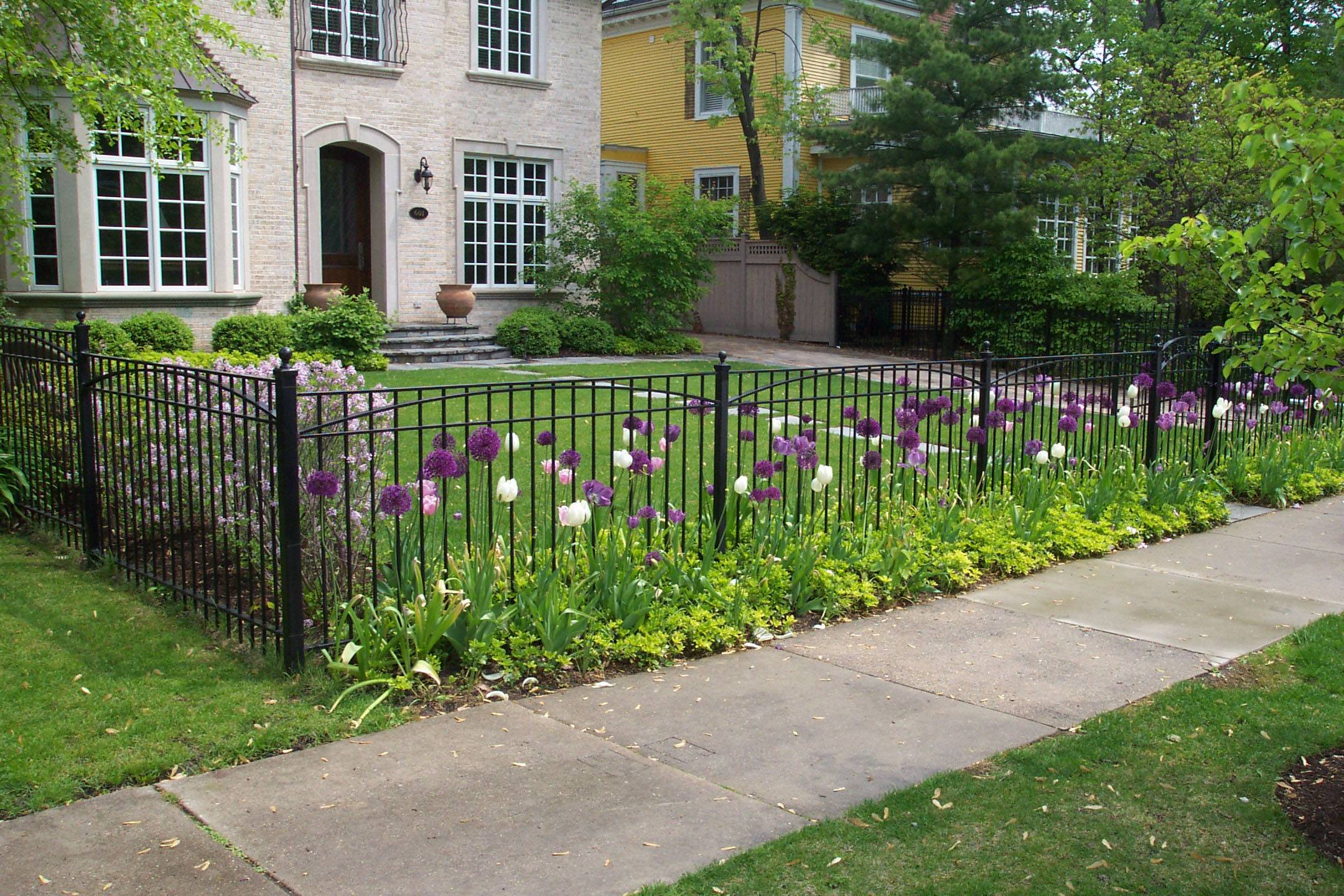 Easy And Cheap Privacy Fence Design Ideas Napiernewsinfo
