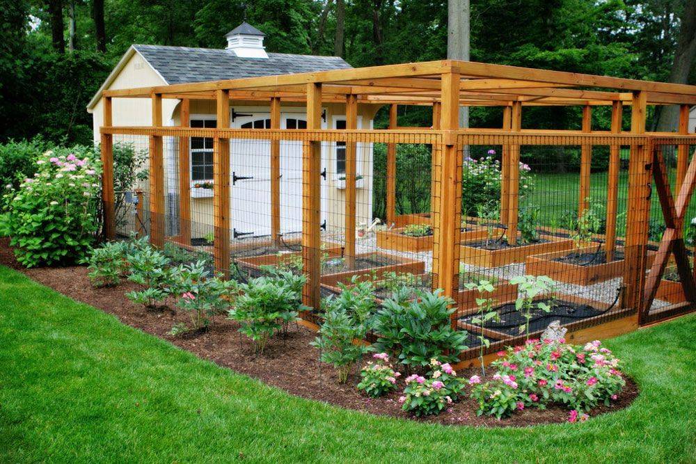 A Garden Vegetable Garden