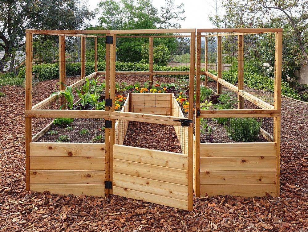 Deer And Squirrel Proof Garden
