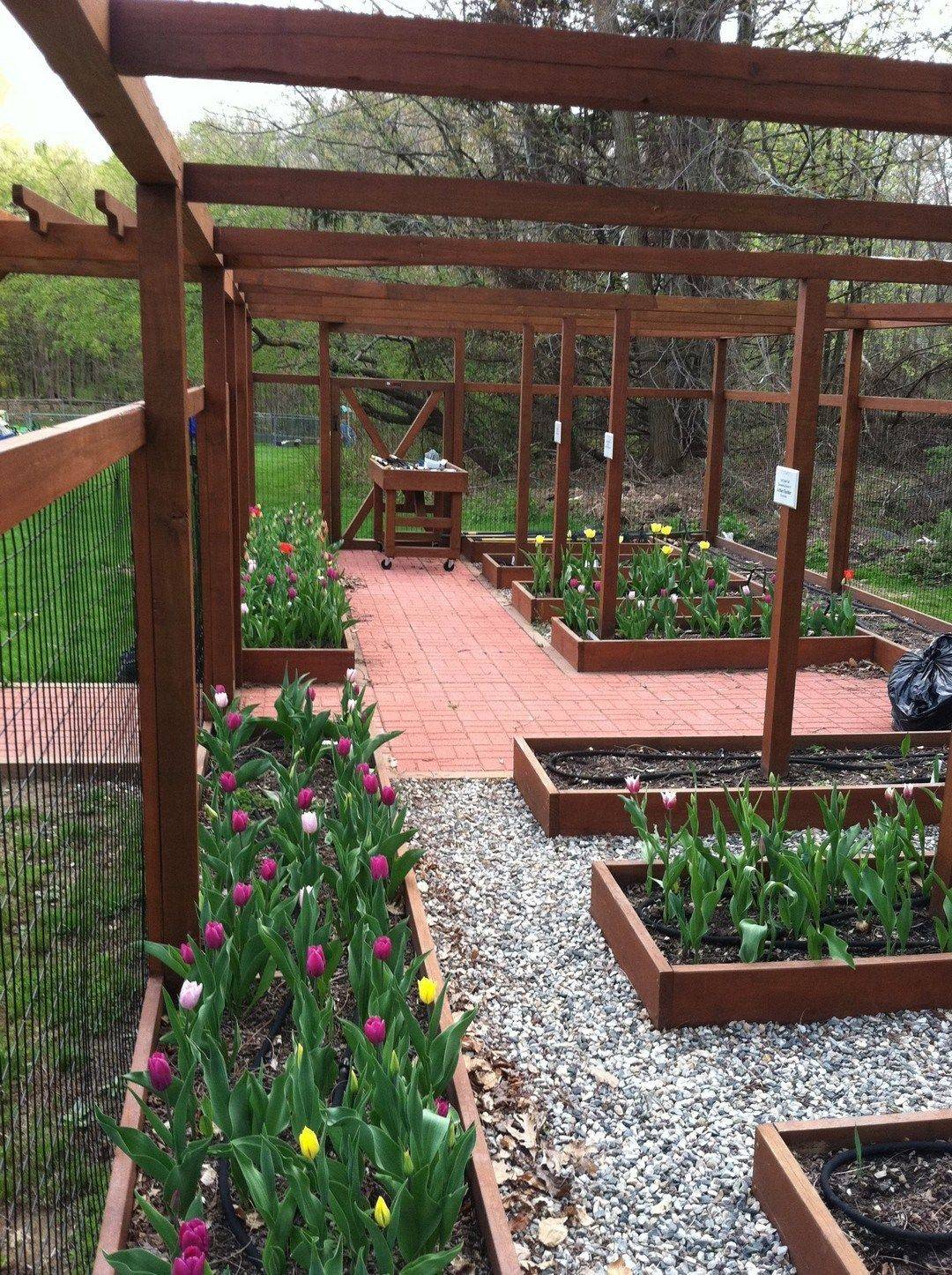 Deer Proof Cedar Complete Raised Garden Bed Kit