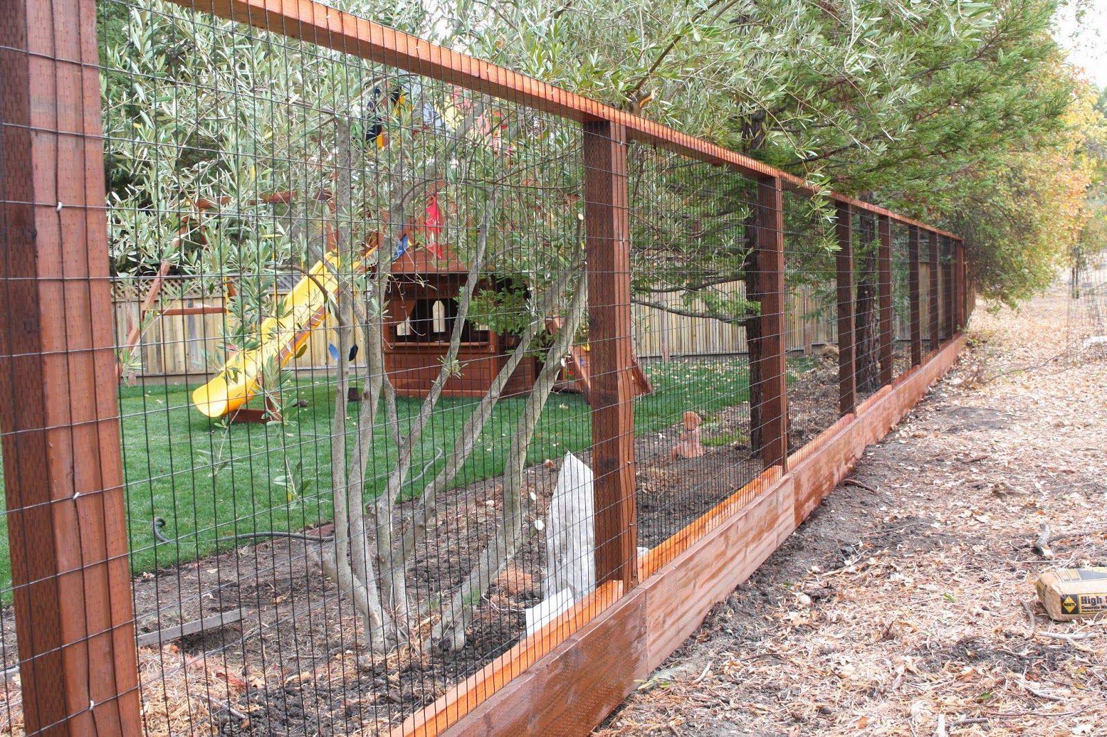 Cheap Garden Fence Ideas Deer Image
