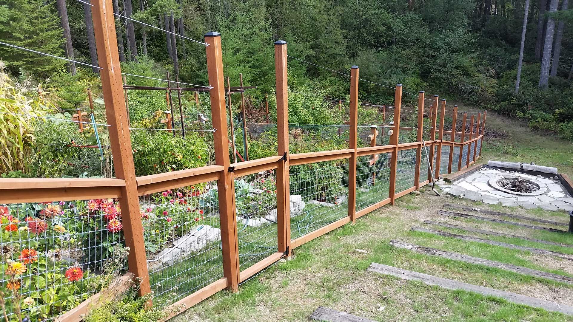 Our Deer Proof Garden