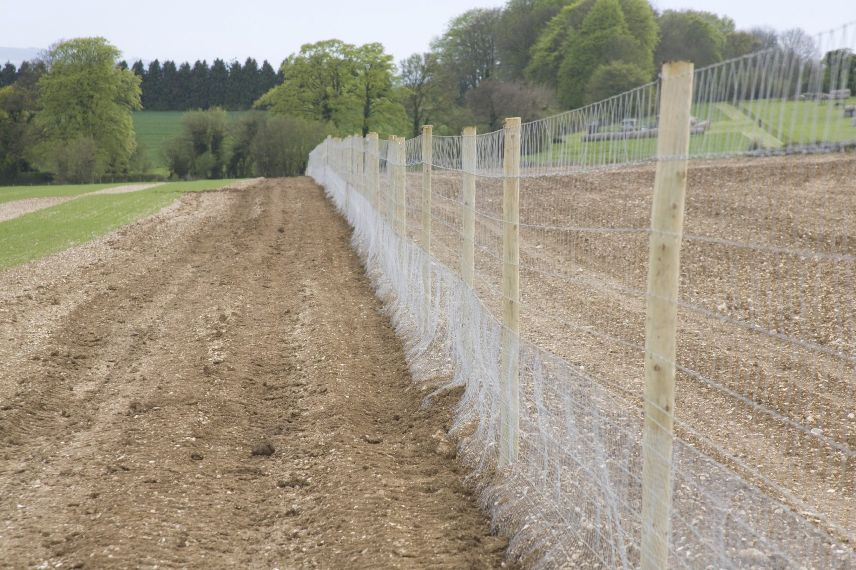 Top Deer Proof Fence Ideas
