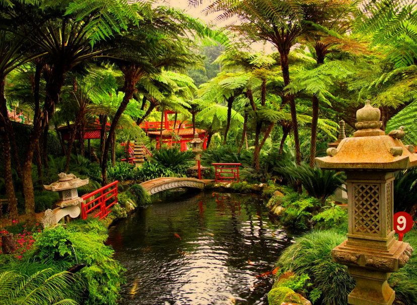 Japanese Zen Garden Wallpaper