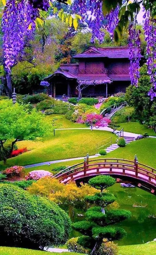 Asian Garden Ideas