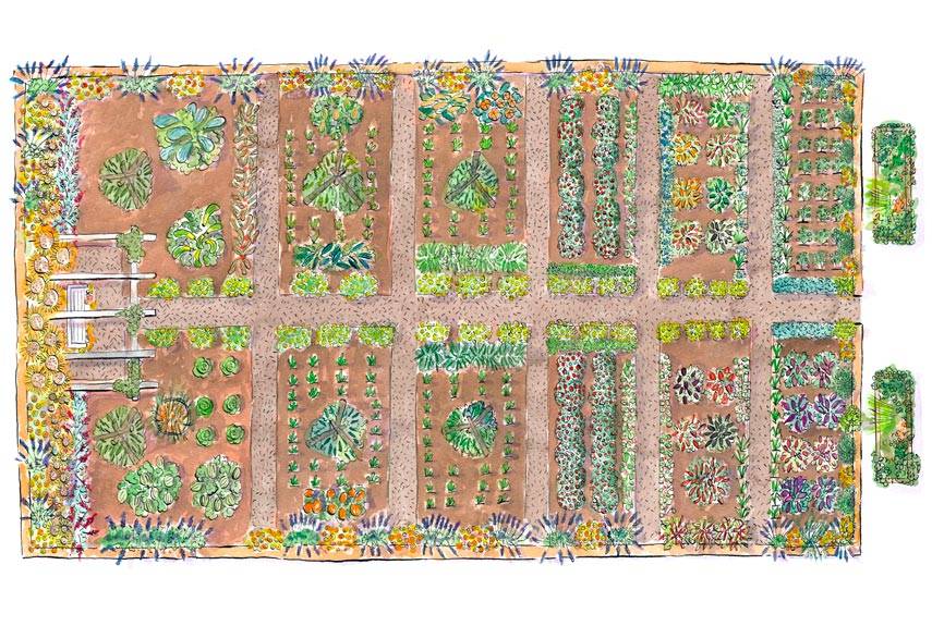 Maximising Garden Space Lisa Cox Garden