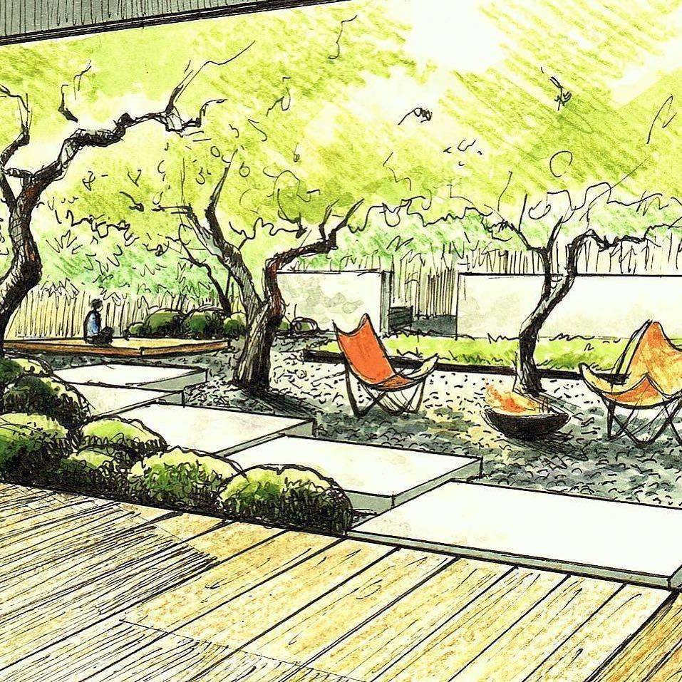 A Perspective Sketch