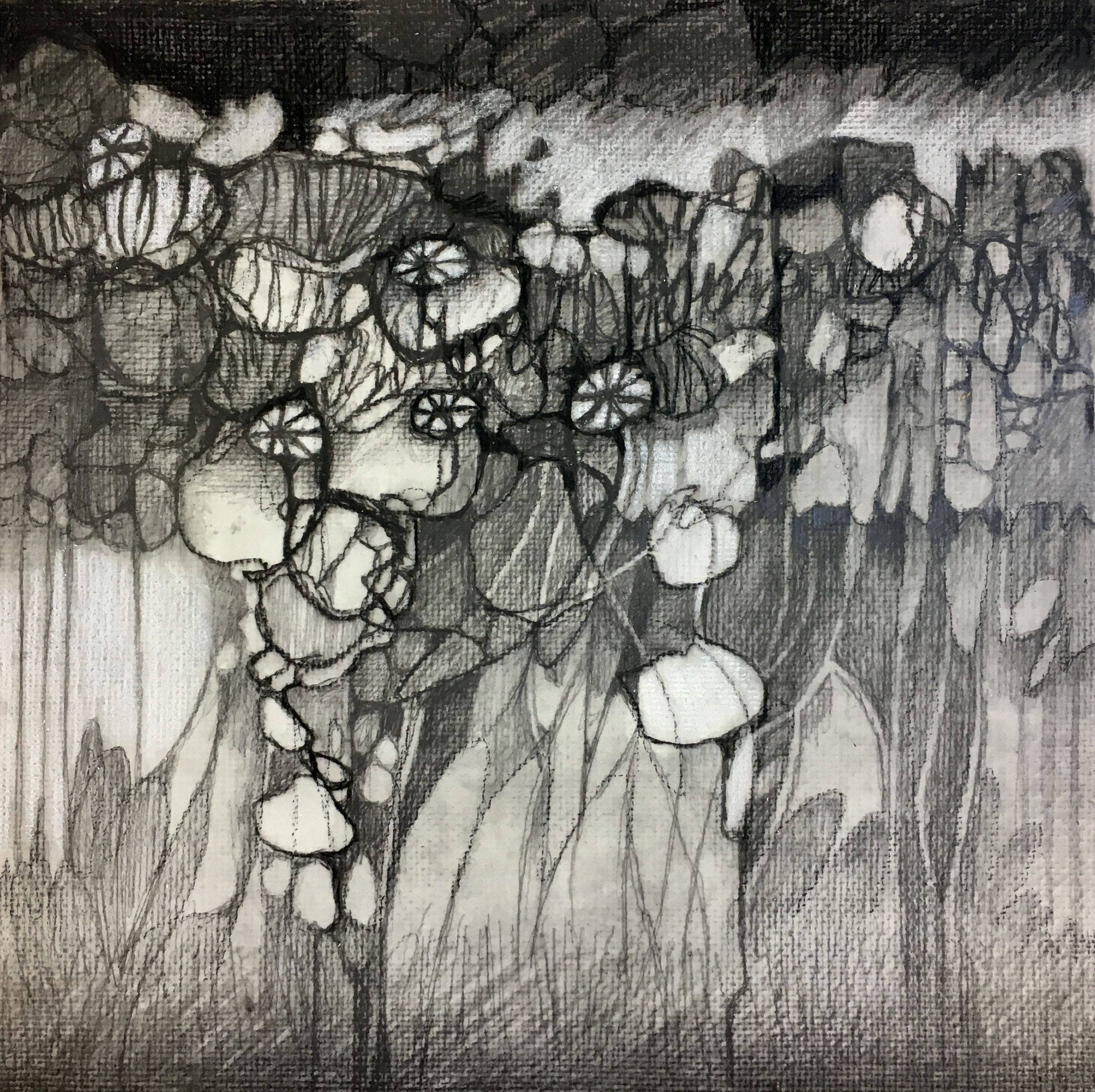 Garden Sketch Ideas Lisa Cox Garden