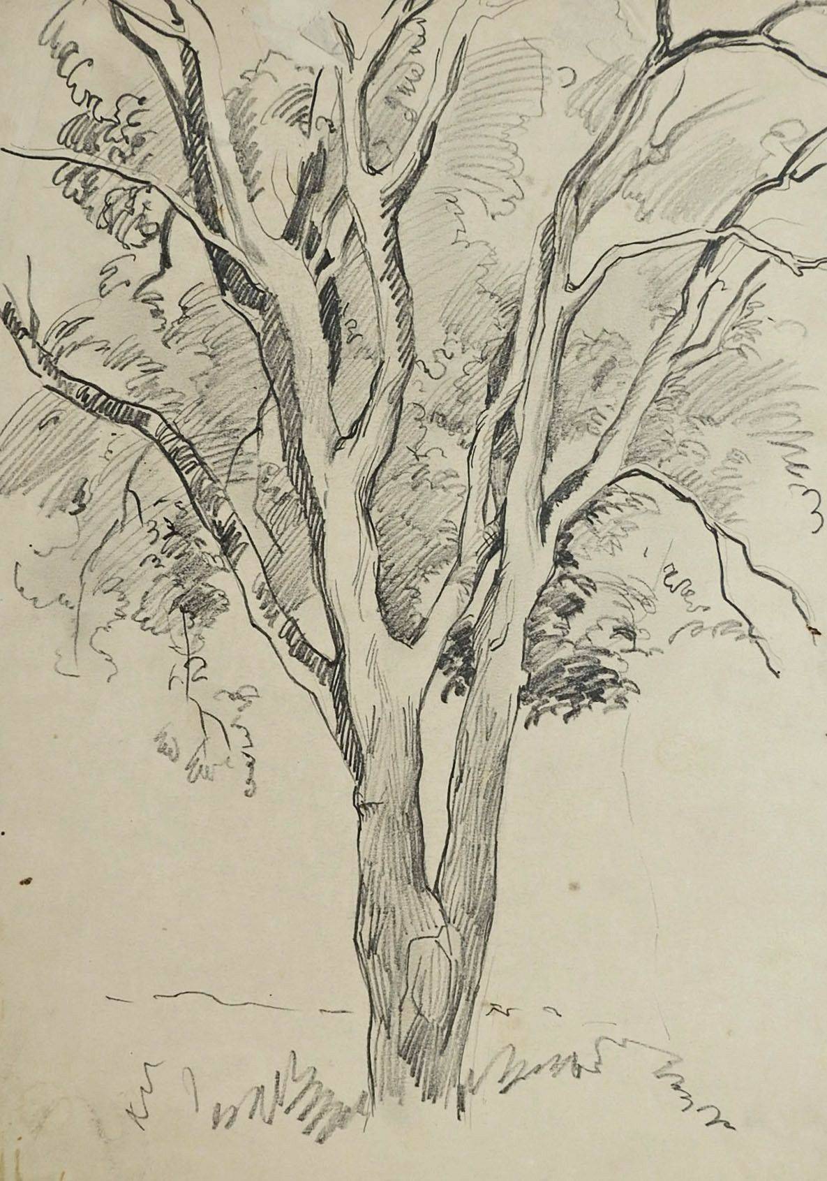 Landscape Simple Pencil Drawing Ideas Goimages Garden